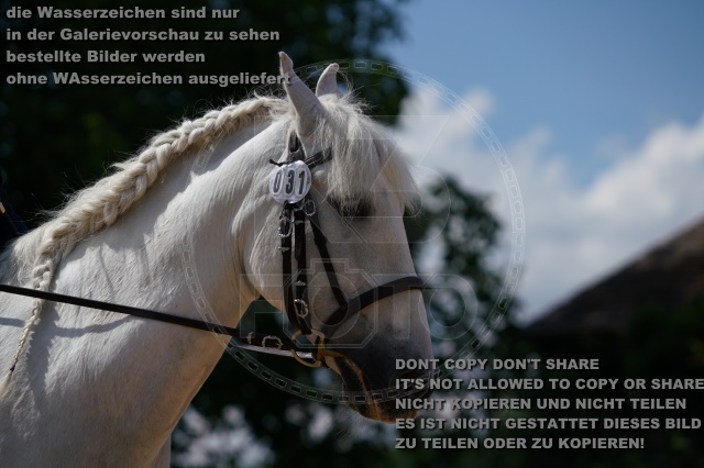 s_K3F04783.JPG